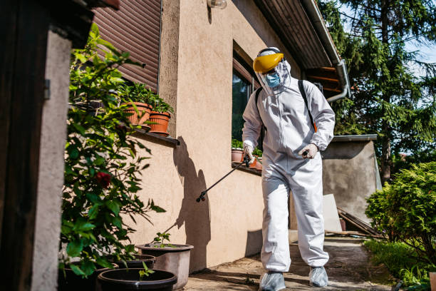 Best Affordable Pest Control Services  in Hillsboro, TX