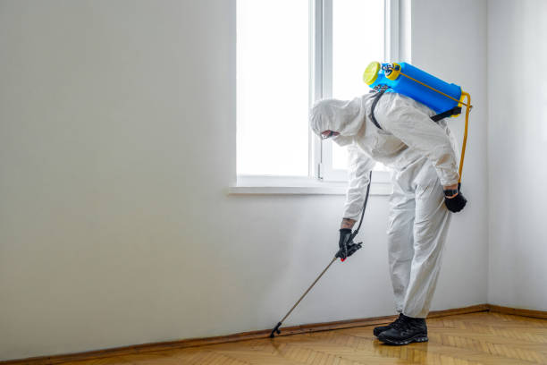 Best Cockroach Control Services  in Hillsboro, TX