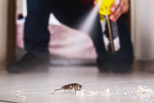 Best Pest Prevention Services  in Hillsboro, TX